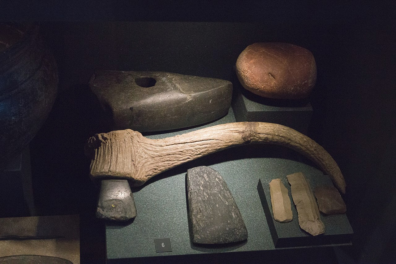 Basic types of stone tools: knives, axes, a hammer-axe and a hammerstone. Neolithic or Copper Age. The City of Prague Museum.

Reference: "File:Stone tools, Neolithic or Copper Age, City of Prague Museum, 175541.jpg." Wikimedia Commons, the free media repository. 15 May 2017, 18:41 UTC. 28 Jun 2018, 03:55 . 

Photo Credit: 